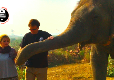 Time with elephants in India