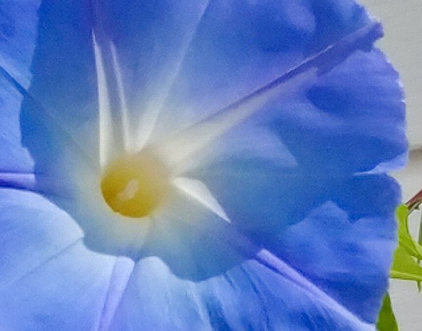 LAW OF REVERSE EFFECT – Coming into presence finding flow, ease and grace