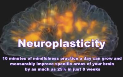 Did You Know Mindfulness Can Alter Your Brain’s Anatomy?