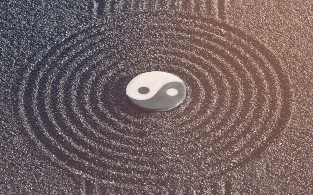 HARMONIZING YIN AND YANG -The Beauty and Science of Stillness in The Toroidal Field