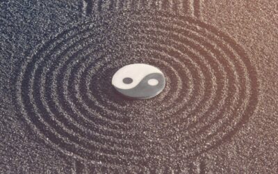 HARMONIZING YIN AND YANG -The Beauty and Science of Stillness in The Toroidal Field